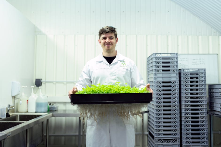 Komplettpaket urban Farming hydroponisch für Mietwohnungen